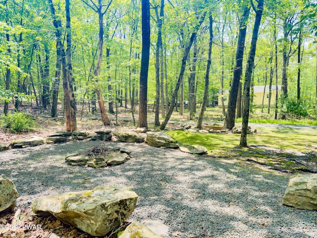 100 Cleveland Ct, Milford, PA 18337 - photo 35
