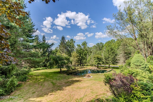 20 Clemen V Muller St, Beach Lake, PA 18405 - view of grassy yard with a water view