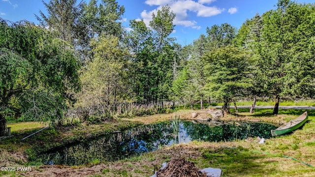 20 Clemen V Muller St, Beach Lake, PA 18405 - water view with a heavily wooded area