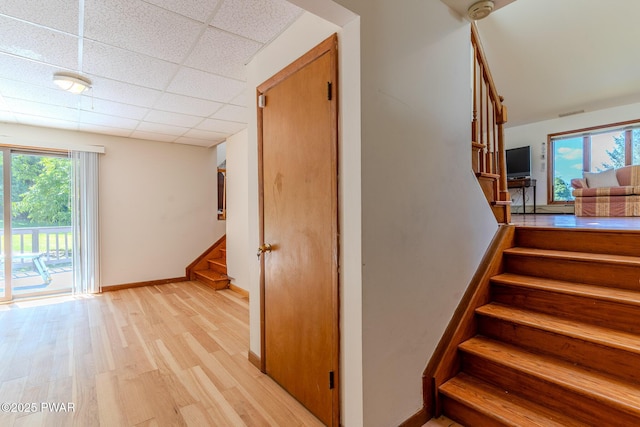 20 Clemen V Muller St, Beach Lake, PA 18405 - stairs with wood finished floors and a drop ceiling