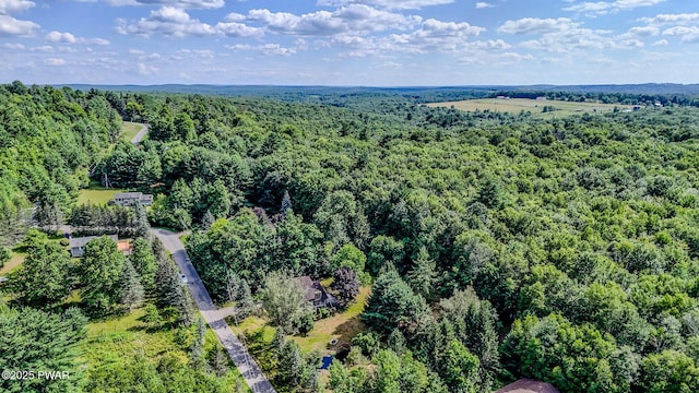 20 Clemen V Muller St, Beach Lake, PA 18405 - aerial view of a forest