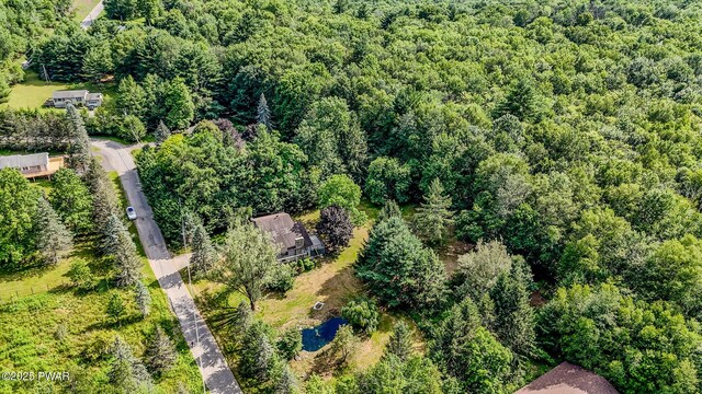 20 Clemen V Muller St, Beach Lake, PA 18405 - aerial view of a forest
