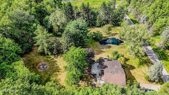20 Clemen V Muller St, Beach Lake, PA 18405 - aerial view of property and surrounding area