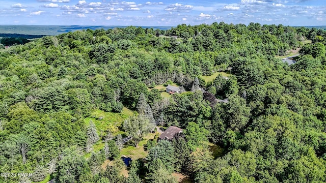 20 Clemen V Muller St, Beach Lake, PA 18405 - aerial view of a heavily wooded area