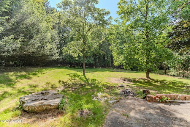 20 Clemen V Muller St, Beach Lake, PA 18405 - view of green lawn