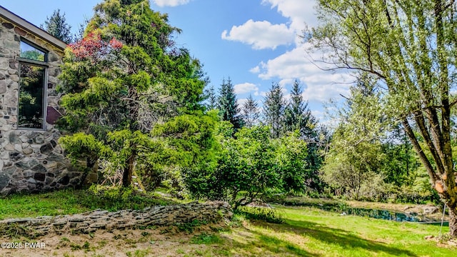 20 Clemen V Muller St, Beach Lake, PA 18405 - view of yard