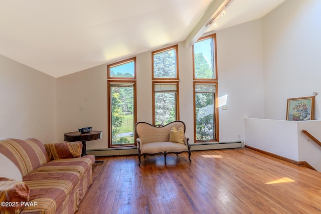 20 Clemen V Muller St, Beach Lake, PA 18405 - living room with a baseboard heating unit, hardwood / wood-style floors, and high vaulted ceiling