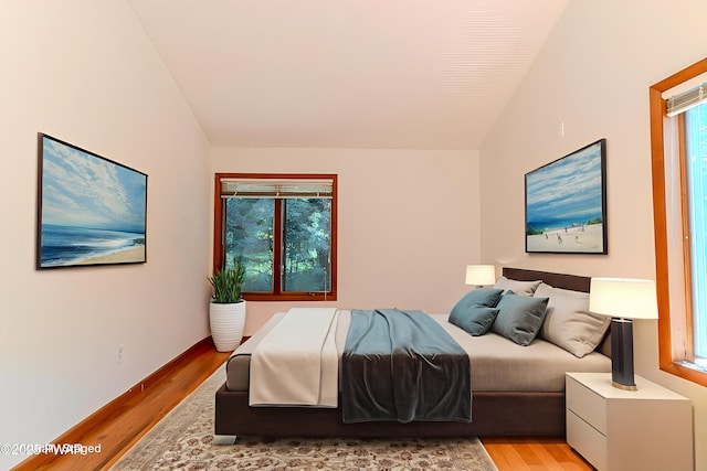 20 Clemen V Muller St, Beach Lake, PA 18405 - bedroom featuring light wood-style flooring and lofted ceiling
