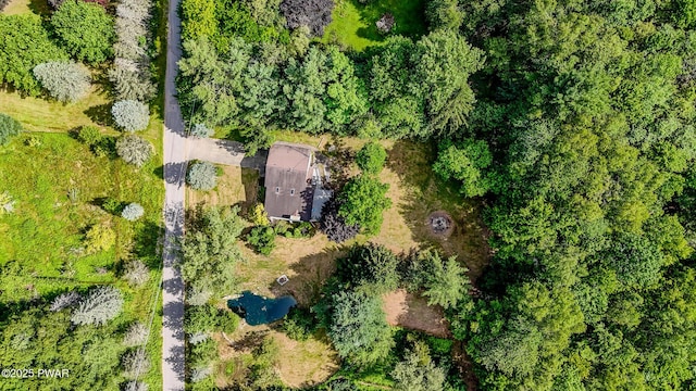 20 Clemen V Muller St, Beach Lake, PA 18405 - bird's eye view