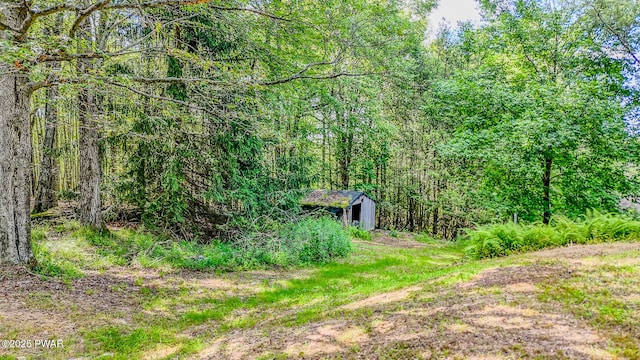 20 Clemen V Muller St, Beach Lake, PA 18405 - view of yard with a wooded view and an outdoor structure
