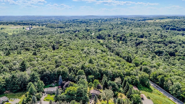 20 Clemen V Muller St, Beach Lake, PA 18405 - drone / aerial view of a forest