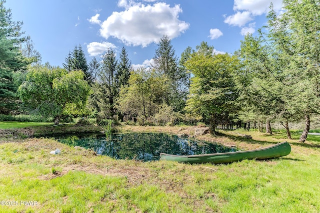 20 Clemen V Muller St, Beach Lake, PA 18405 - view of local wilderness featuring a nearby body of water