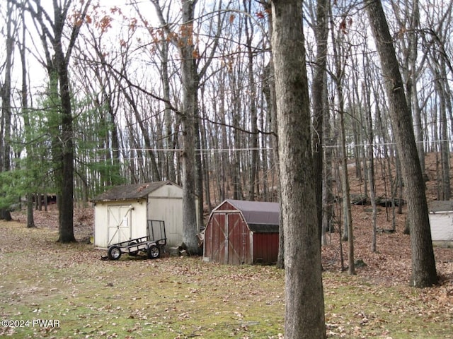 view of yard featuring a storage unit