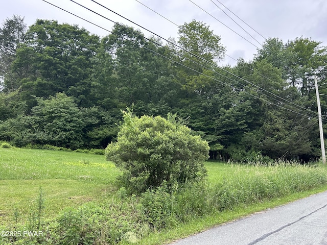 Conklin Hill Rd, Damascus, PA 18415 - photo 1