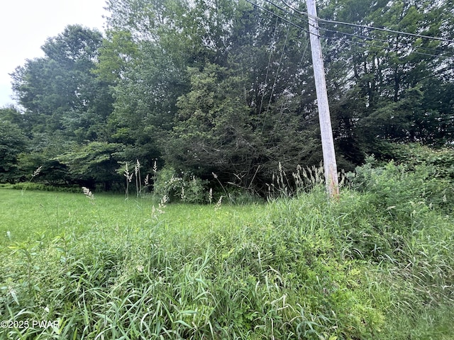 Conklin Hill Rd, Damascus, PA 18415 - photo 3
