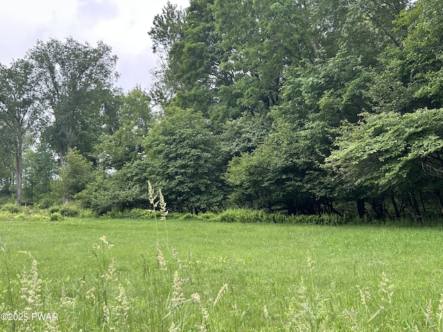 Conklin Hill Rd, Damascus, PA 18415 - photo 2