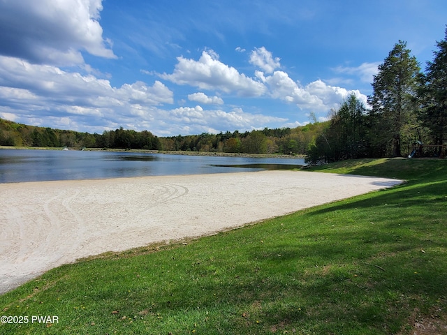 water view featuring a forest view