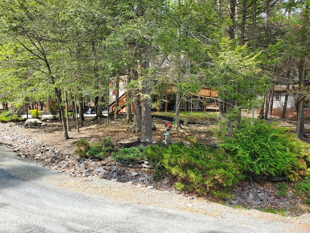 view of yard featuring stairs