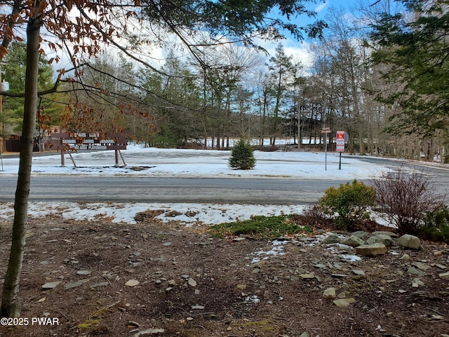 view of yard layered in snow