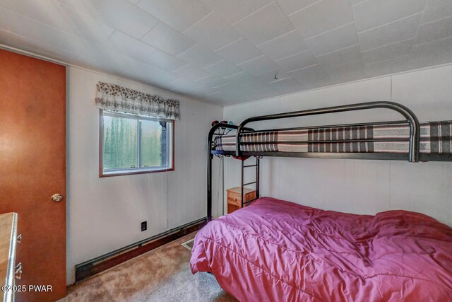 3218 Bluebird Dr, Bushkill, PA 18324 - view of carpeted bedroom