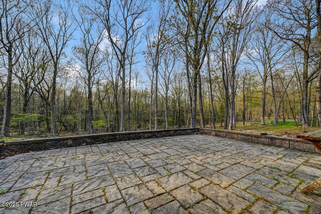 3218 Bluebird Dr, Bushkill, PA 18324 - view of patio / terrace