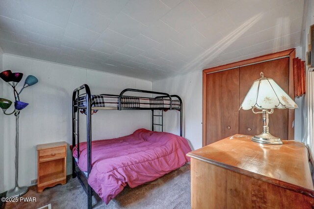3218 Bluebird Dr, Bushkill, PA 18324 - carpeted bedroom with a closet