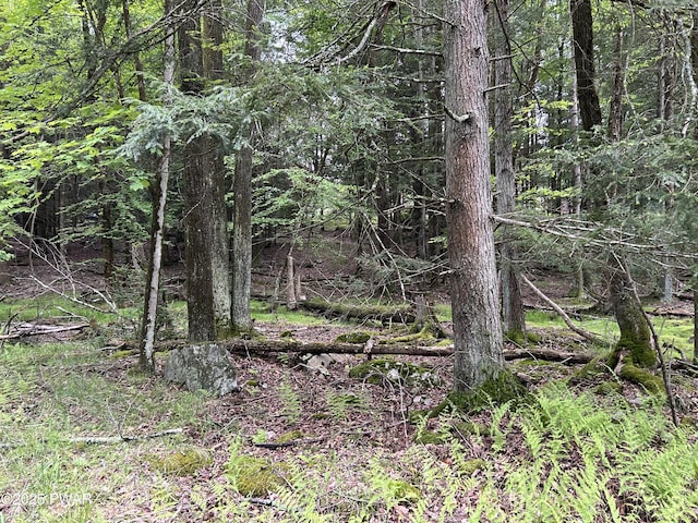 LOT16 Orion Way, Lake Ariel, PA 18436