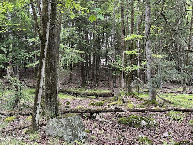 LOT16 Orion Way, Lake Ariel, PA 18436
