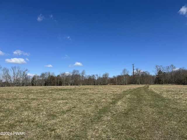 view of local wilderness