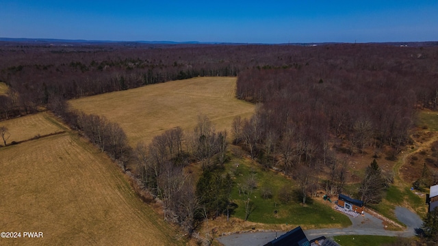 drone / aerial view featuring a rural view