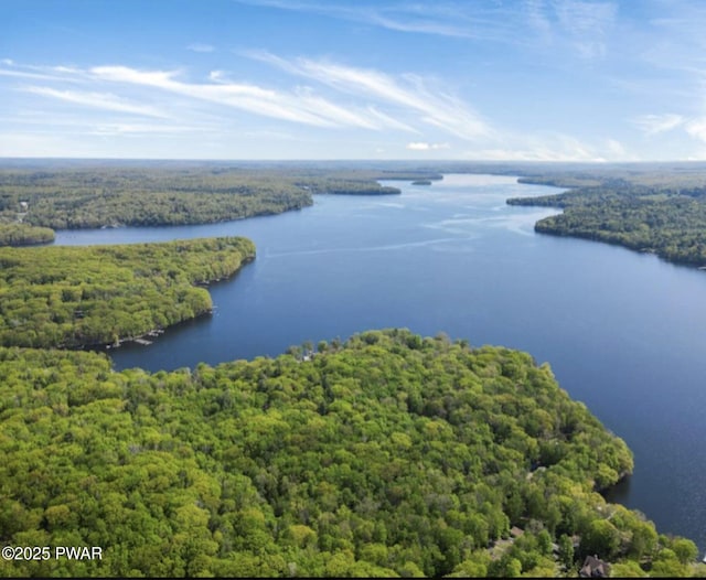 aerial view of a forest and a nearby body of water