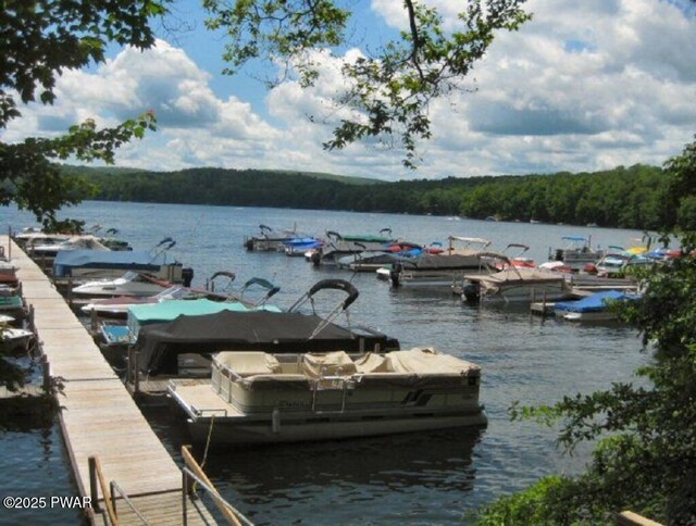 dock featuring a water view and a forest view