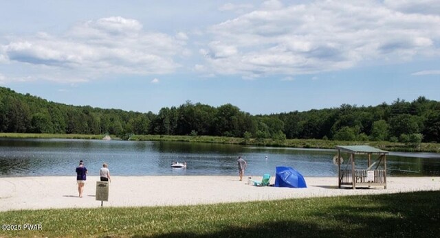 view of community featuring a forest view and a water view