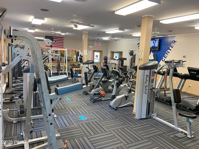 gym with a ceiling fan and carpet