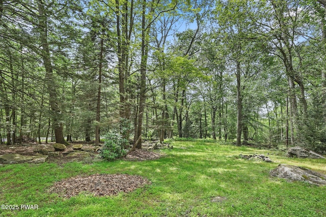 140 Gaskin Dr, Lords Valley, PA 18428 - photo 39