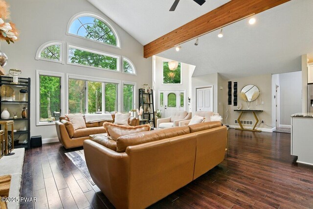 202 Remuda Dr, Lords Valley, PA 18428 - living area with high vaulted ceiling, ceiling fan, dark wood-type flooring, and track lighting