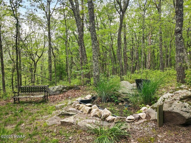 202 Remuda Dr, Lords Valley, PA 18428 - view of yard with a forest view