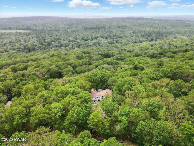 202 Remuda Dr, Lords Valley, PA 18428 - view from above of property featuring a heavily wooded area