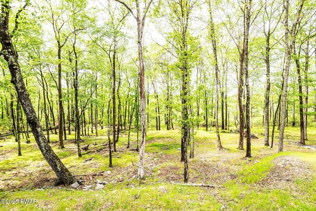 209 Conashaugh Trl, Milford, PA 18337 - view of undeveloped land