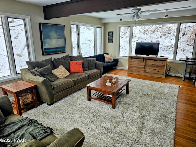 living room with ceiling fan, beam ceiling, and wood-type flooring