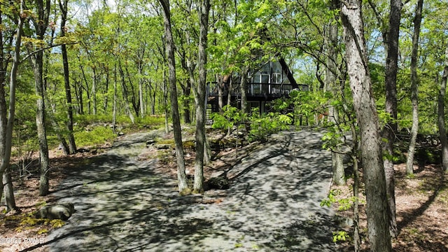 124 Granite Dr, Lords Valley, PA 18428 - view of wooded area