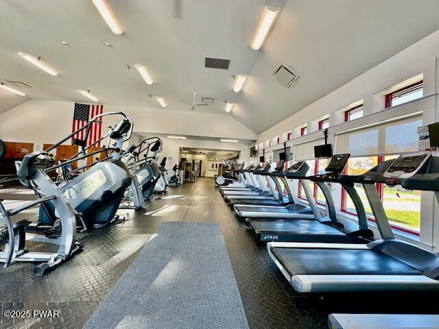 124 Granite Dr, Lords Valley, PA 18428 - exercise room featuring vaulted ceiling and plenty of natural light