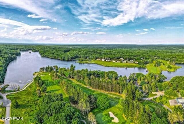124 Granite Dr, Lords Valley, PA 18428 - aerial view of property's location featuring a heavily wooded area and a nearby body of water