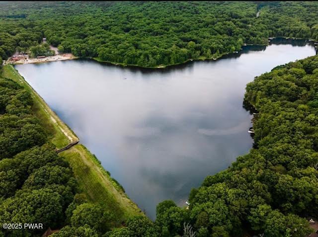 124 Granite Dr, Lords Valley, PA 18428 - aerial view of a heavily wooded area and a nearby body of water
