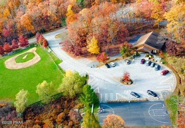 124 Granite Dr, Lords Valley, PA 18428 - aerial view