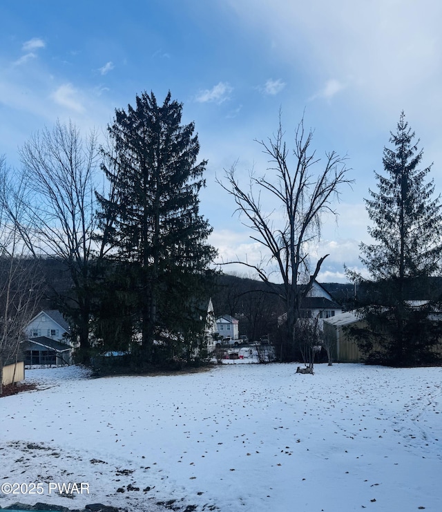 view of yard layered in snow