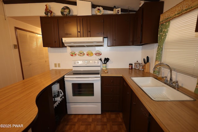 kitchen with a sink, dark brown cabinetry, under cabinet range hood, and white range with electric stovetop