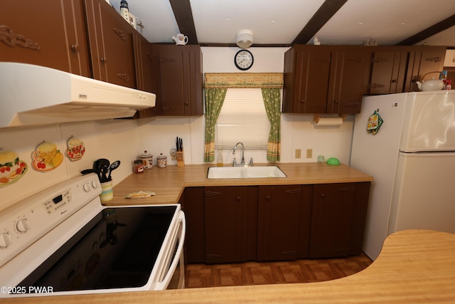 kitchen with extractor fan, dark brown cabinetry, light countertops, white appliances, and a sink