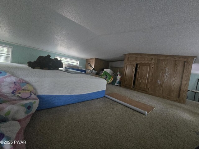 227 Locust Lake Dr, Milford, PA 18337 - photo 26