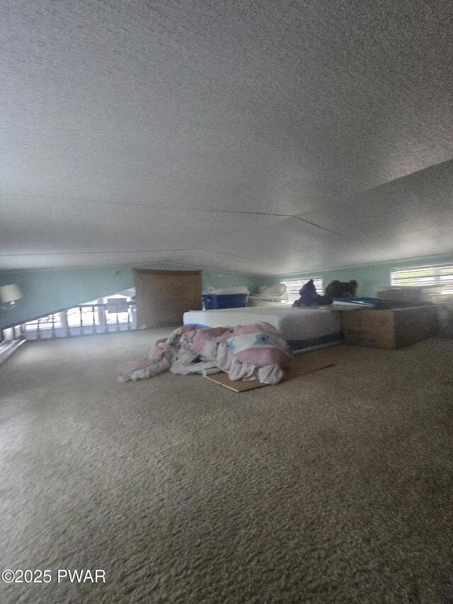 227 Locust Lake Dr, Milford, PA 18337 - photo 27